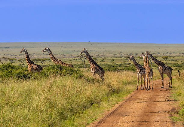  Is Africa Expensive To Travel