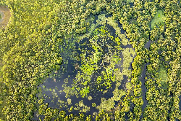 Which Countries In Africa Experience Equatorial Climate