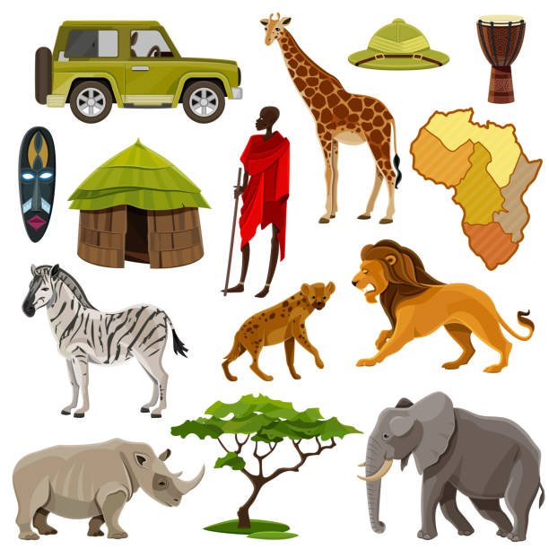 How Much Is A African Safari