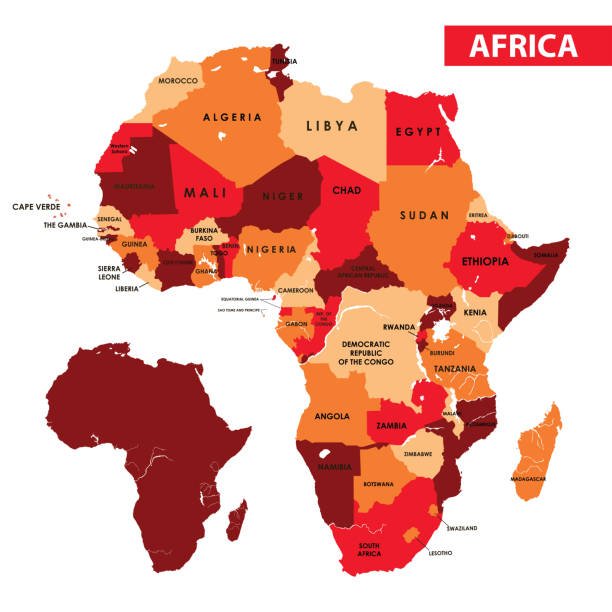  Are Bears Found In Africa