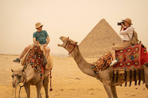  Is There Camels In Africa
