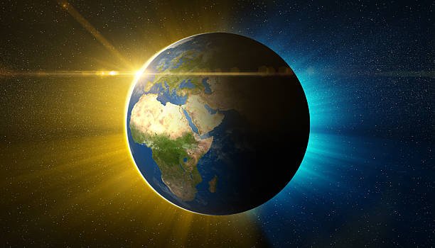  Can Penguins Be Found In Africa