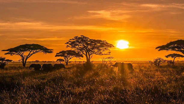  Which Country In Africa Is Most Visited By Tourists