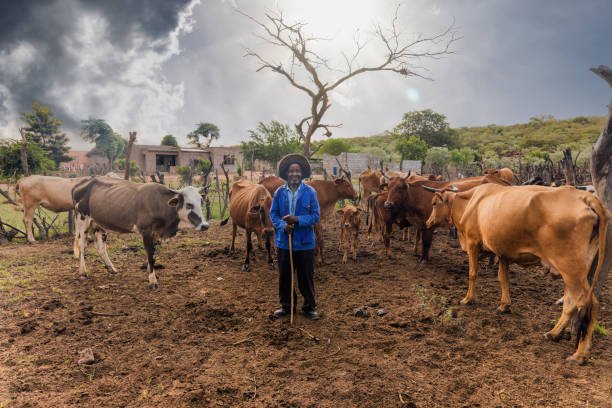  Is There Still Famine In Africa