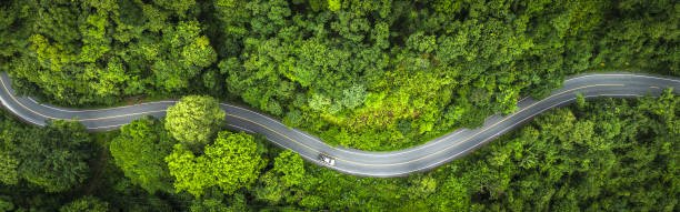  How Much Of Africa Is Green